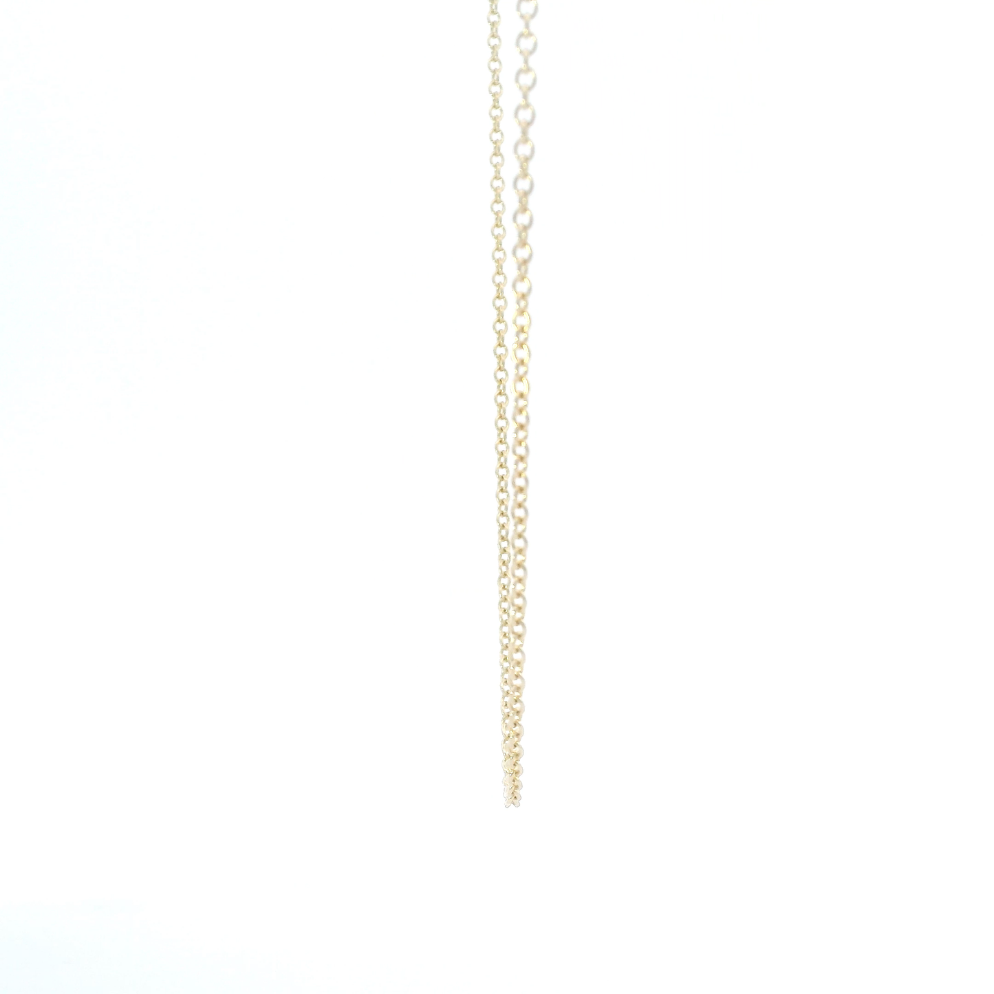 14K Yellow Gold 21" Rolo Chain