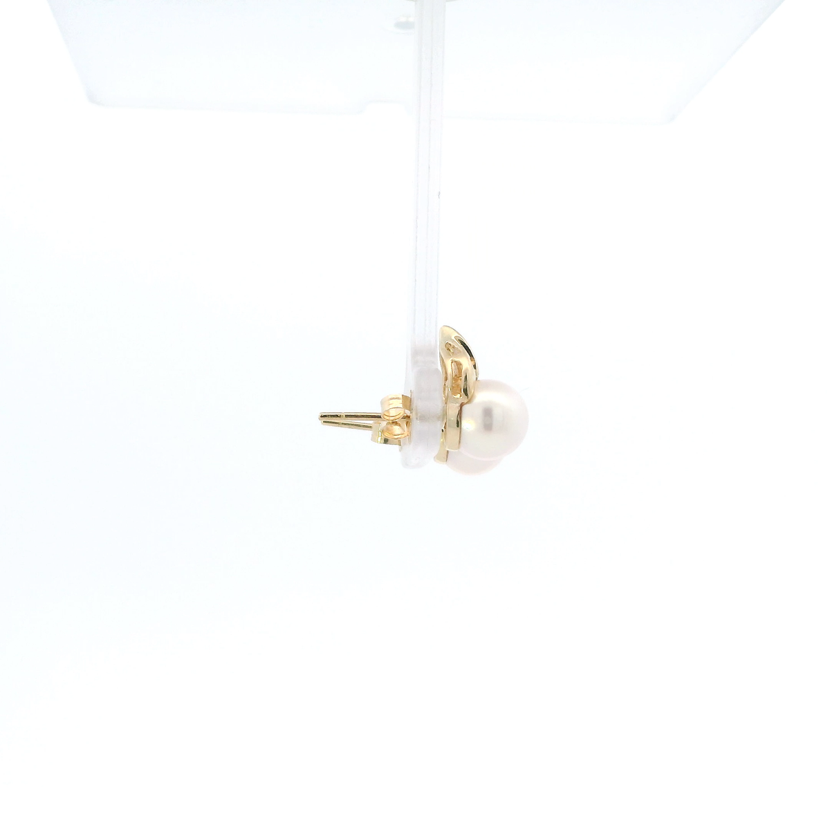 14K Yellow Gold Pearl Stud Earrings