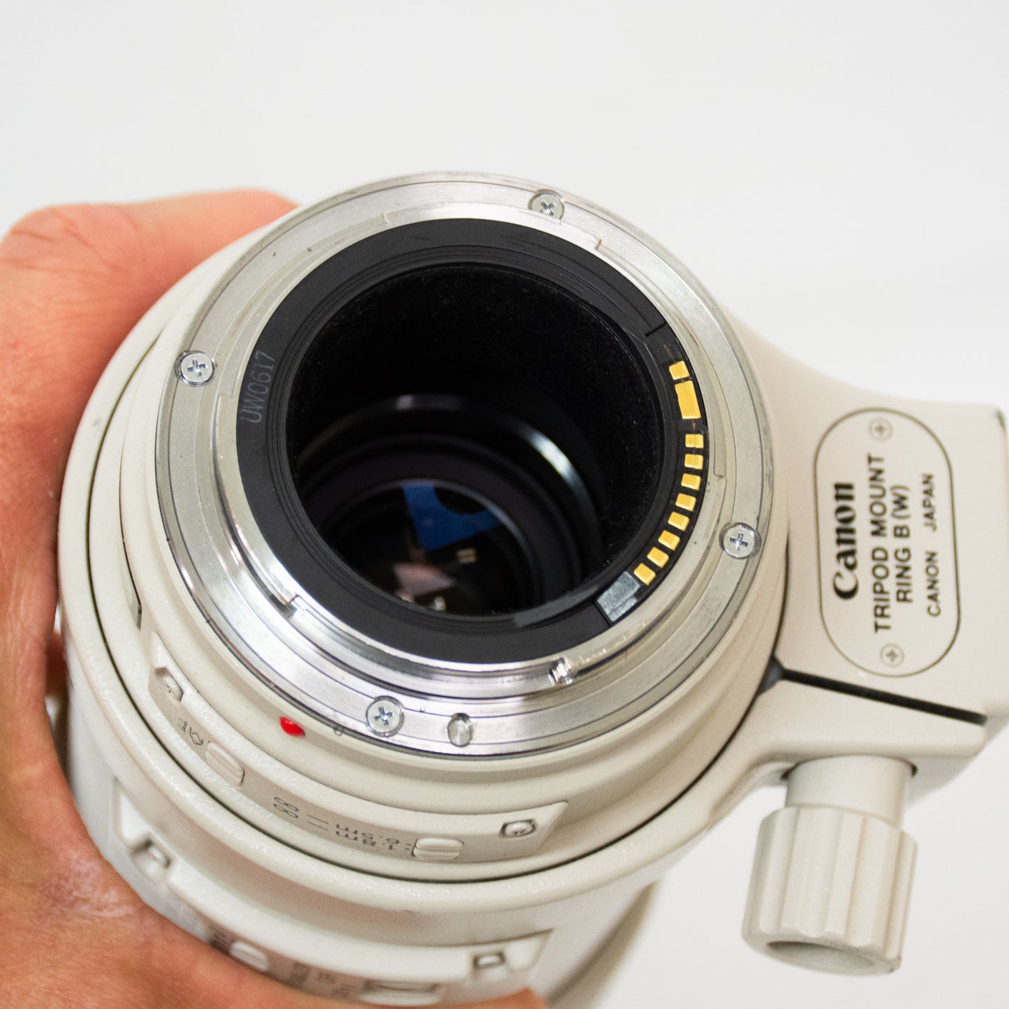 Canon EF 100-400mm 14.5-5.6 Zoom Lens