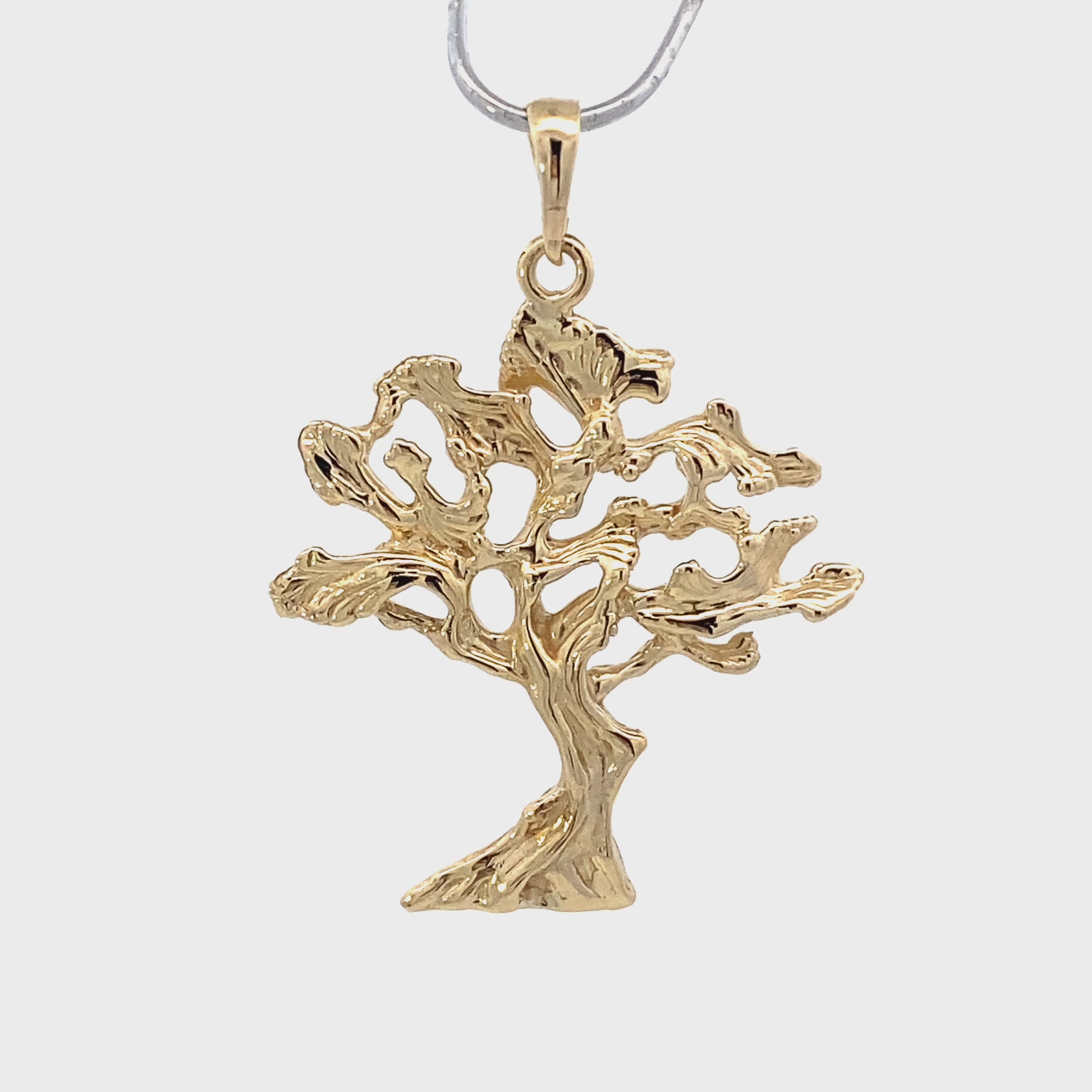 20240806163217702_2bc6961d.mp4