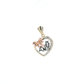 14 Tri Color Gold "15 Anos" Heart Pendant