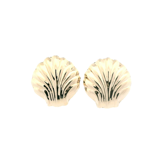 14K Yellow Gold Sea Shell Stud Earrings