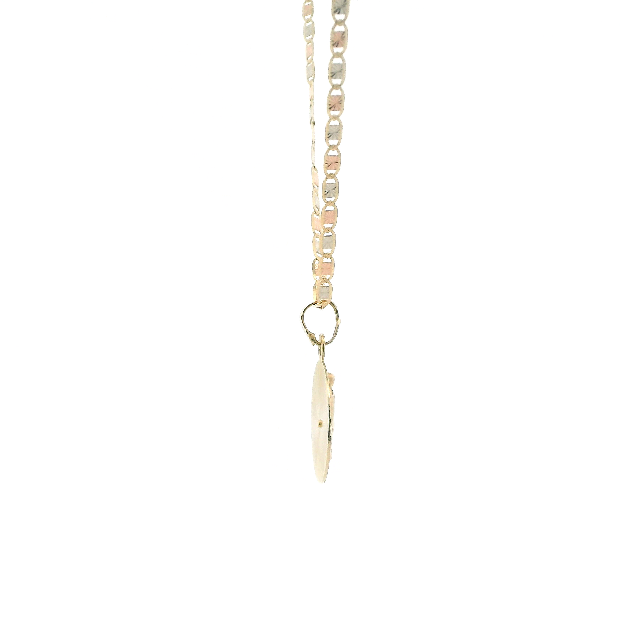 14K Tri Color Round Virgin Mary Pendant & 20
