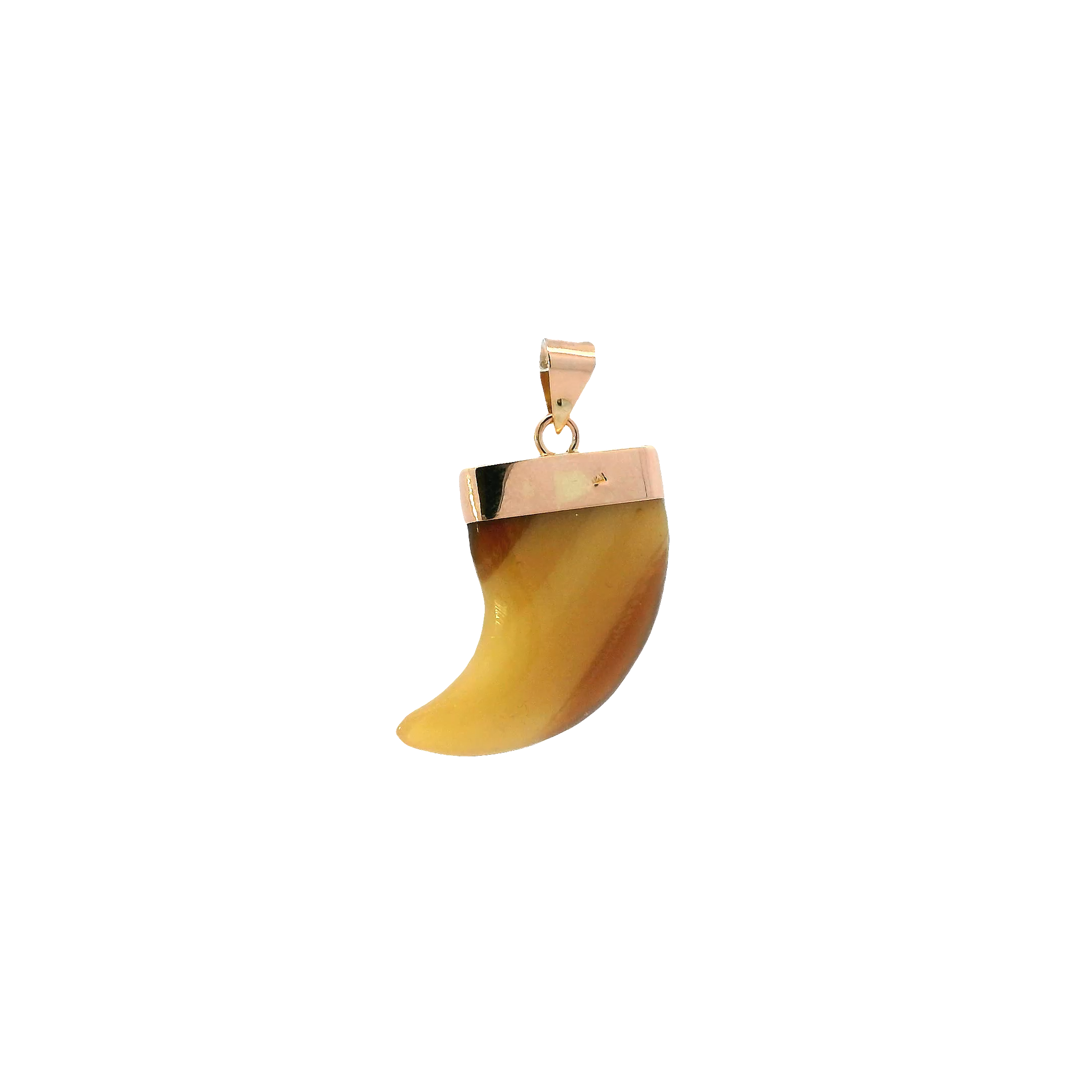 14K Yellow Gold Tiger Stone Claw Tooth Pendant