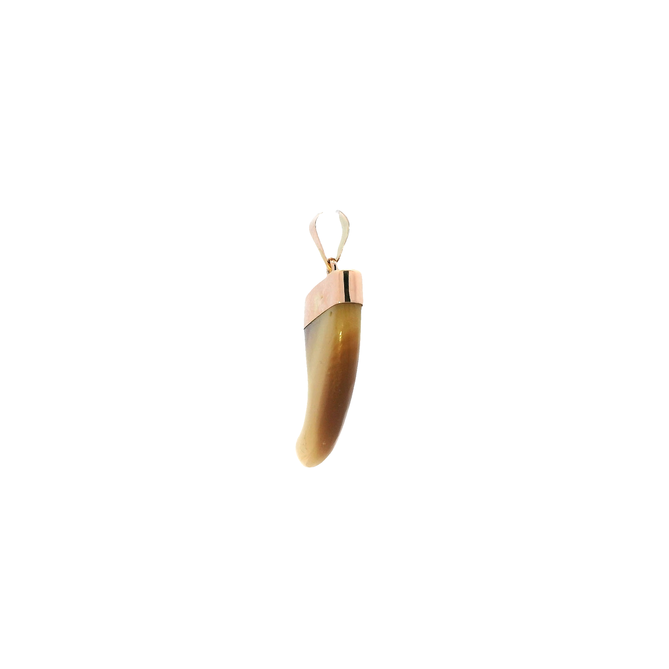 14K Yellow Gold Tiger Stone Claw Tooth Pendant