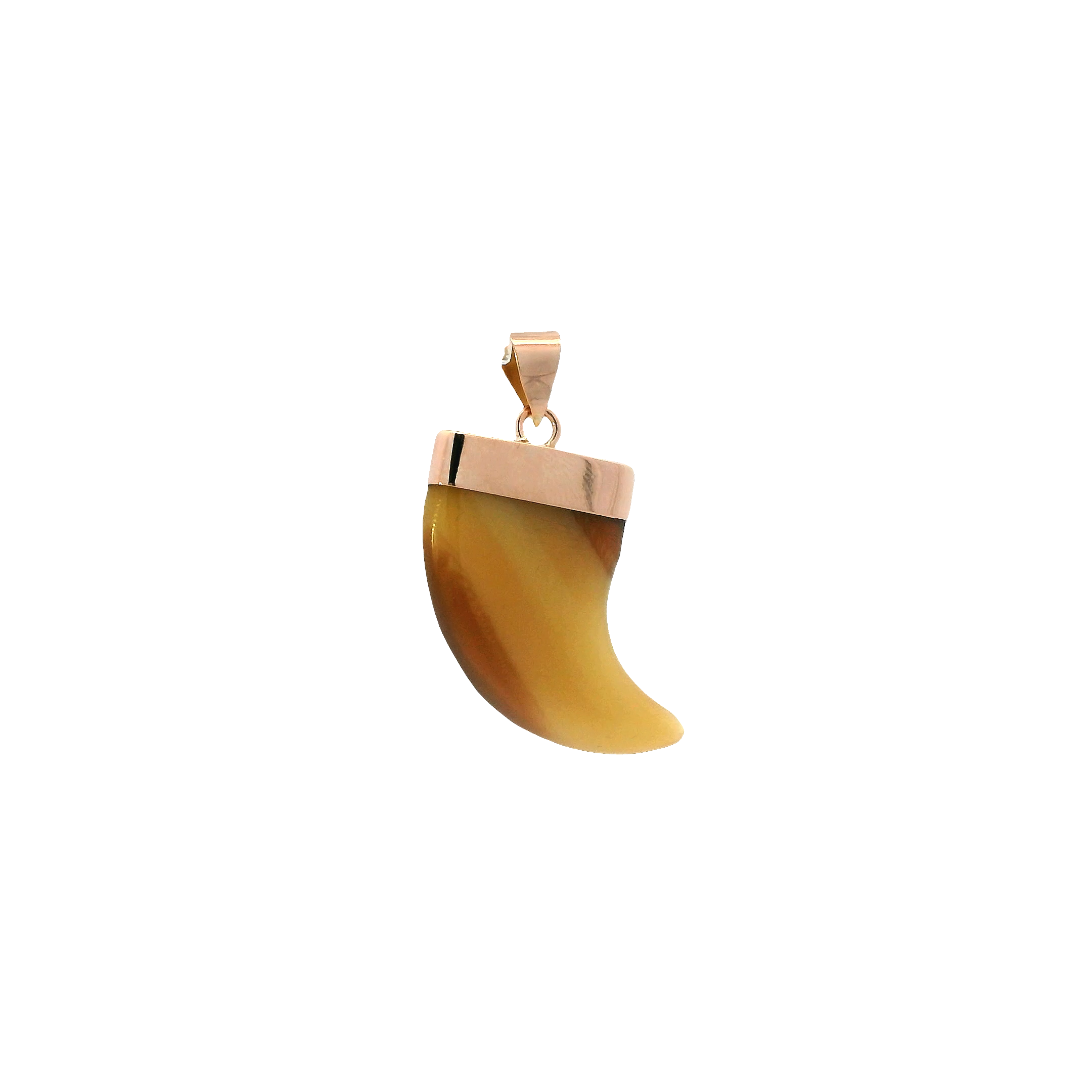 14K Yellow Gold Tiger Stone Claw Tooth Pendant