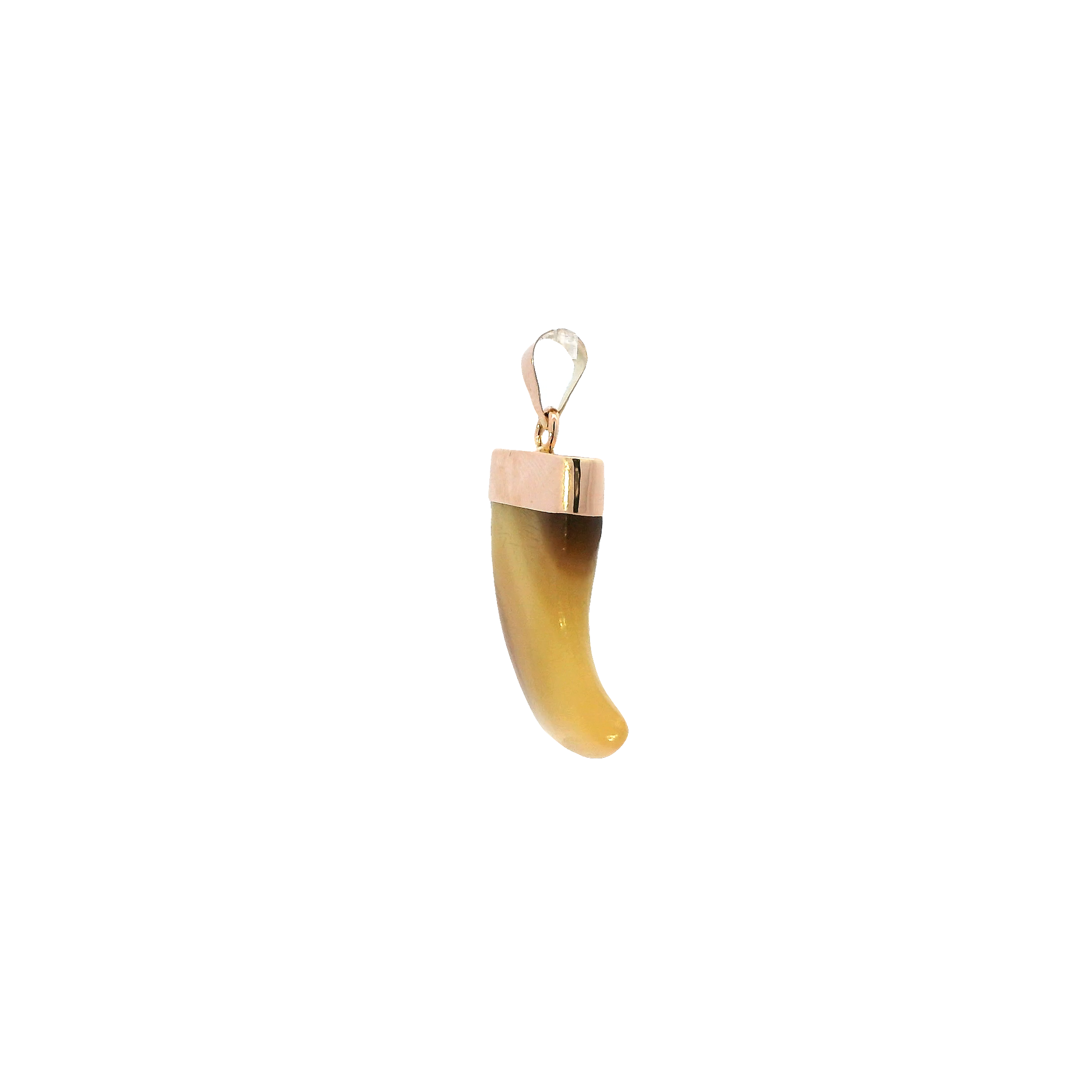 14K Yellow Gold Tiger Stone Claw Tooth Pendant