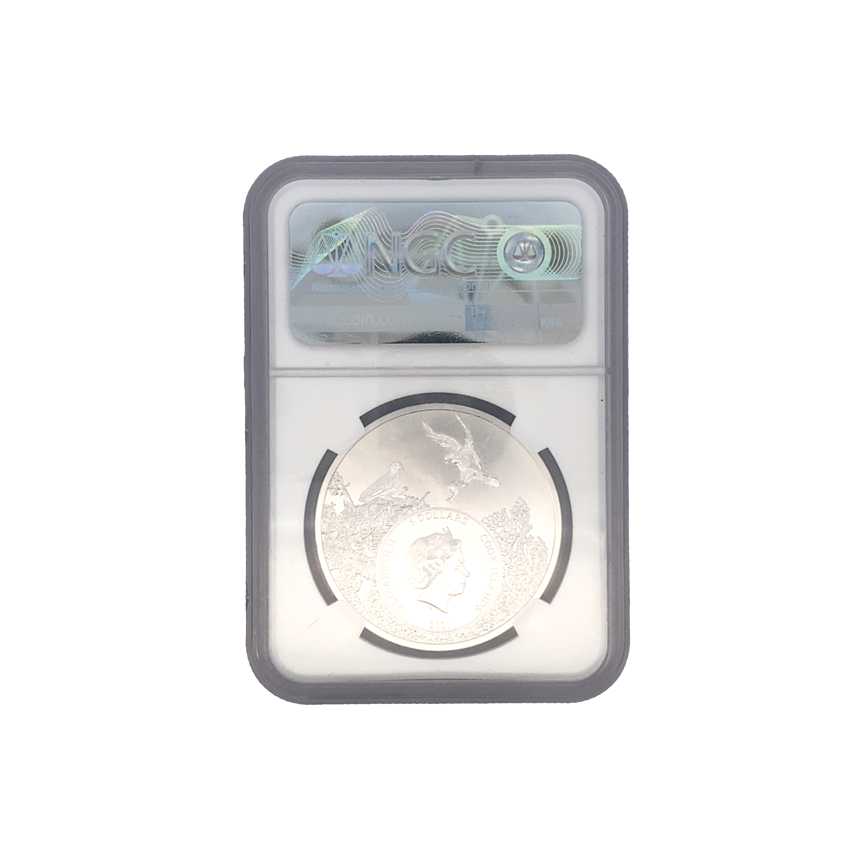 Cooks Island Michigan Brook Trout Silver Coin - U.S. State Animal Series Collectible