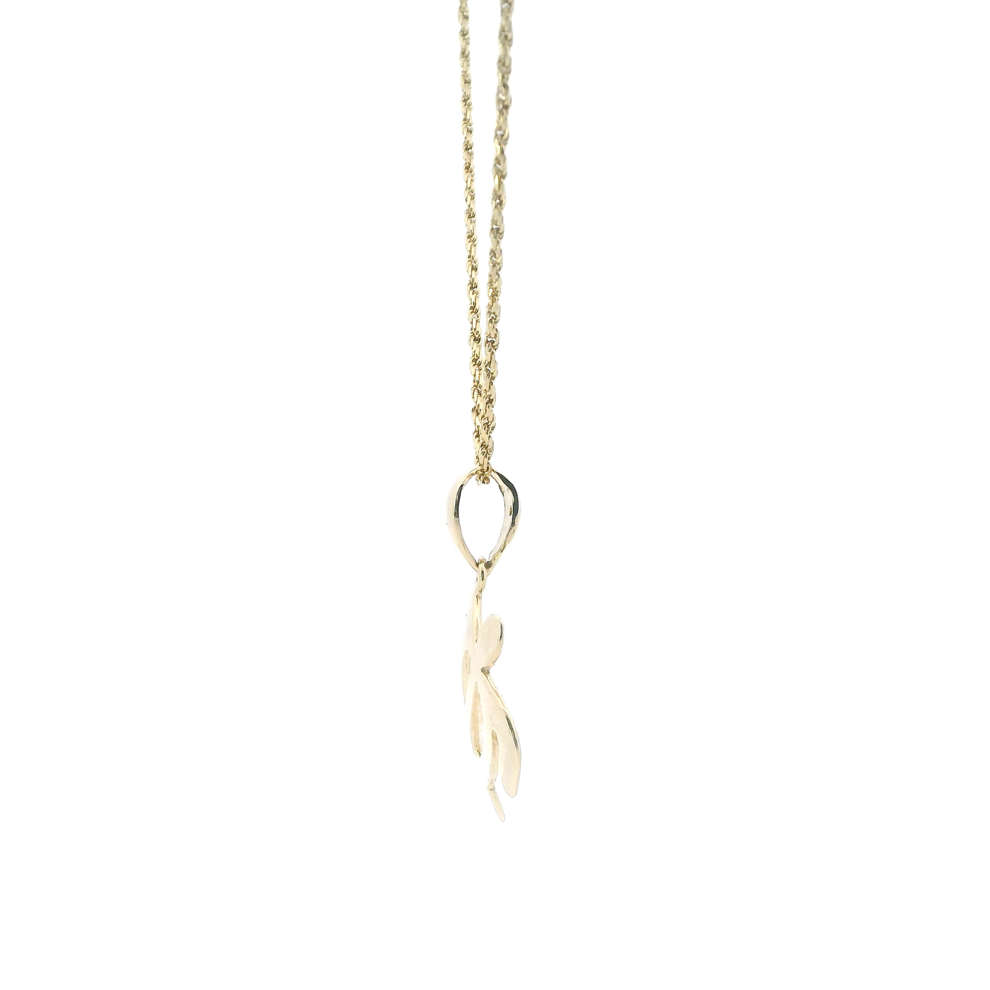 14K Yellow Gold 18" Rope Chain & Sea Turtle Pendant