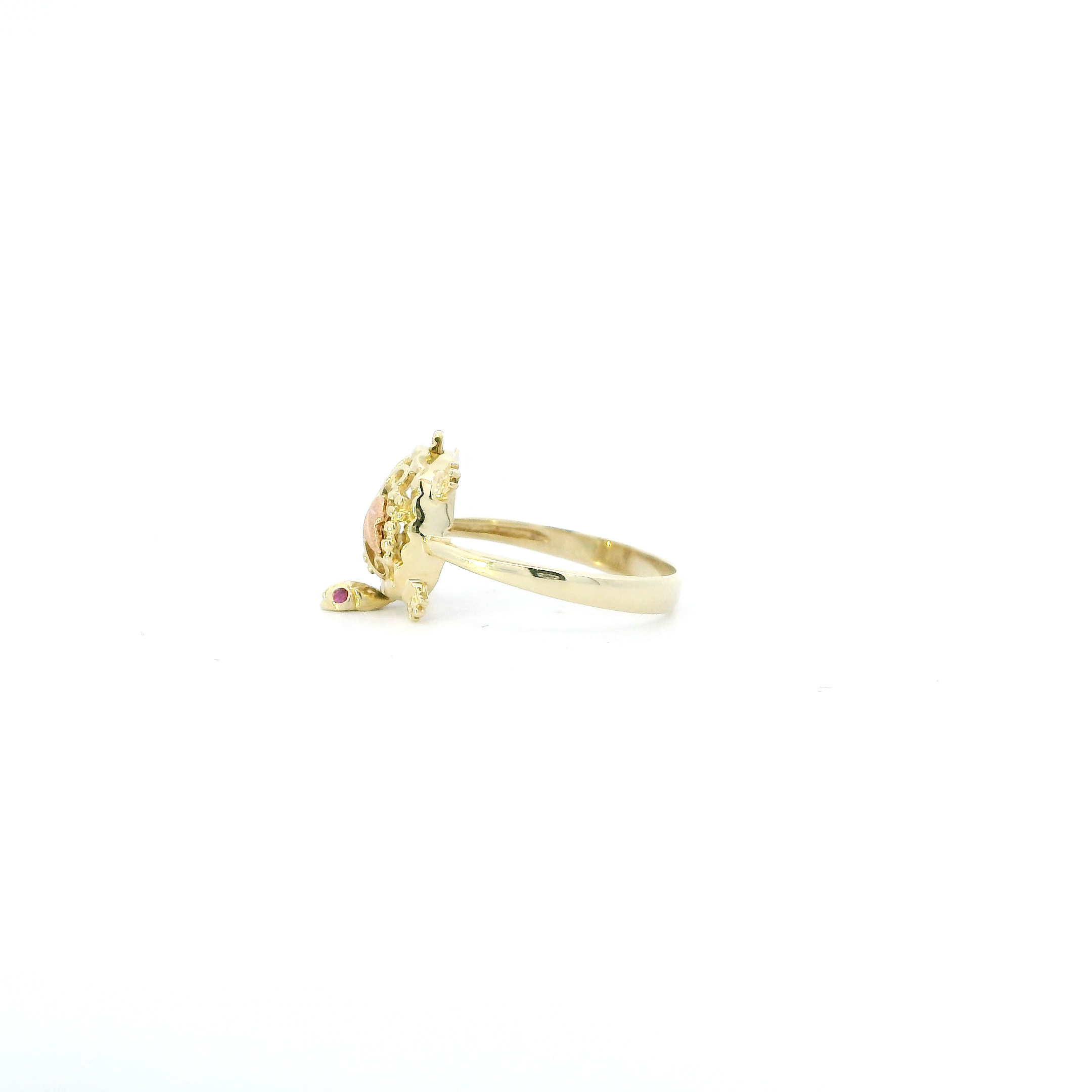 14K Tri Color Gold Ruby & Leaf Design Turtle Ring