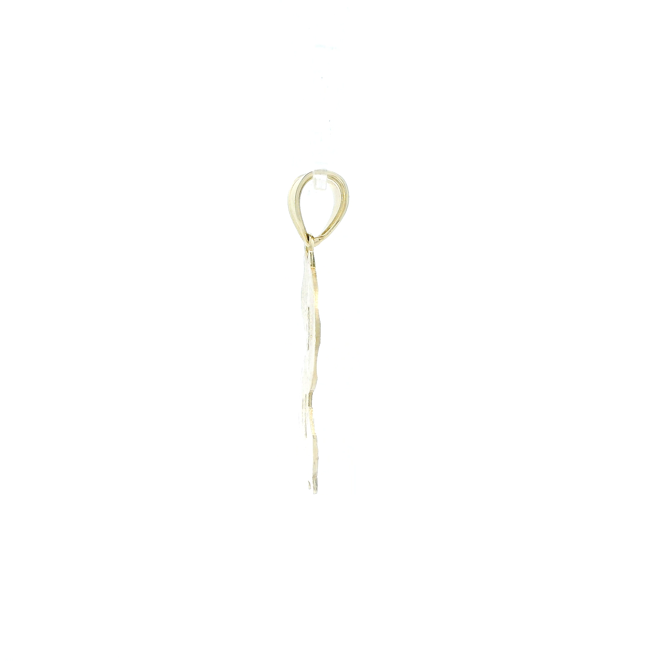 10K Yellow Gold Diamond Cut Money Pendant