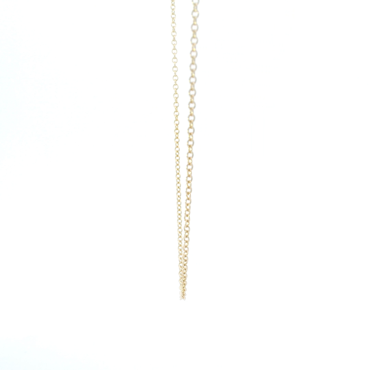 14K Yellow Gold 21" Rolo Chain
