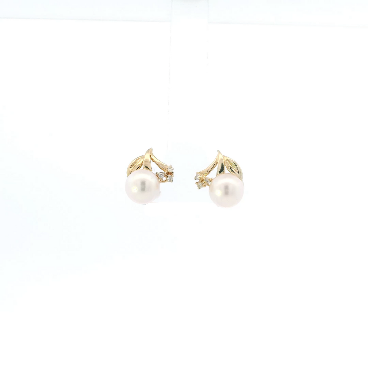 14K Yellow Gold Pearl Stud Earrings