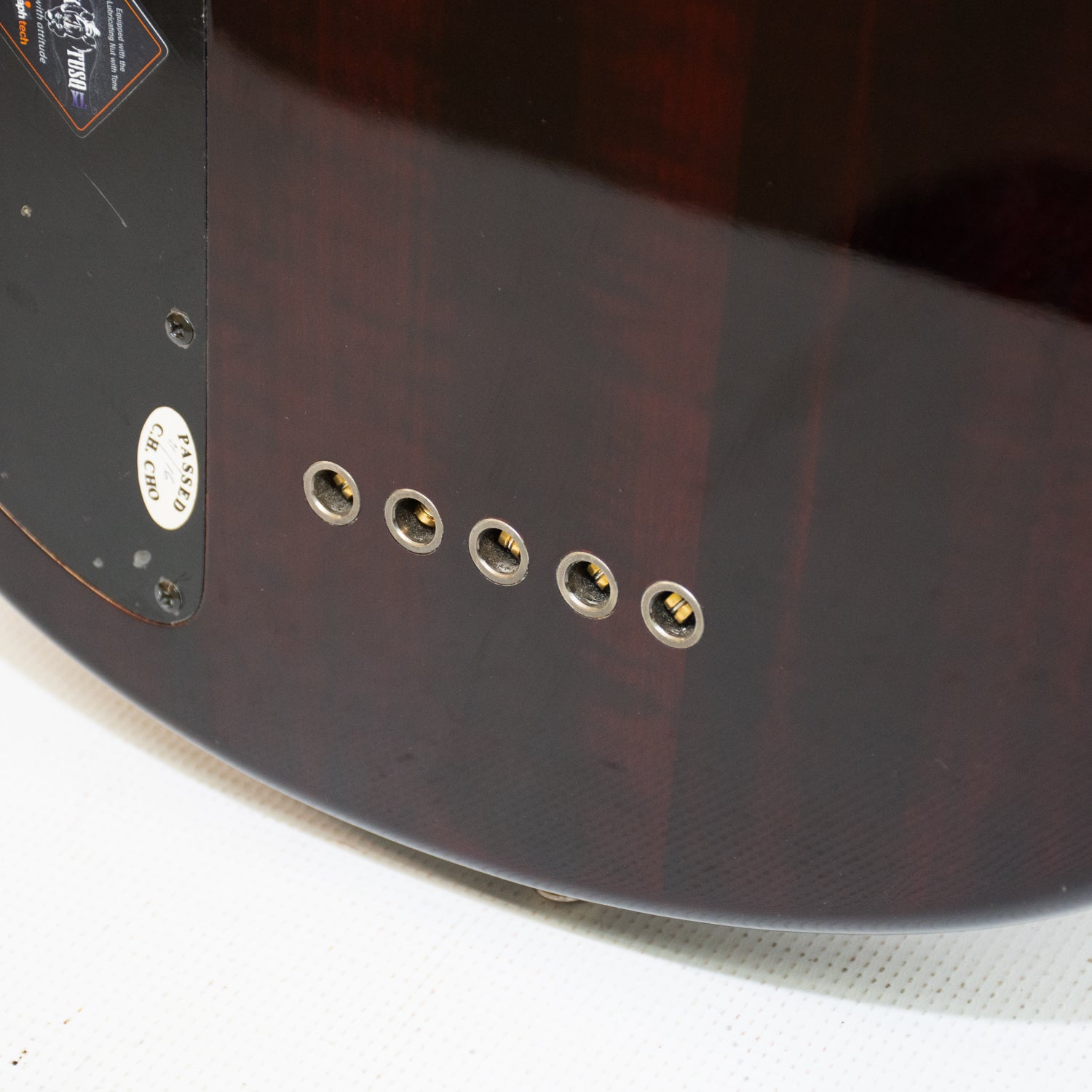 Schecter Diamond Raiden Special 5-String Bass Guitar