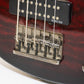 Schecter Diamond Raiden Special 5-String Bass Guitar