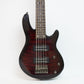 Schecter Diamond Raiden Special 5-String Bass Guitar