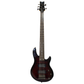 Schecter Diamond Raiden Special 5-String Bass Guitar