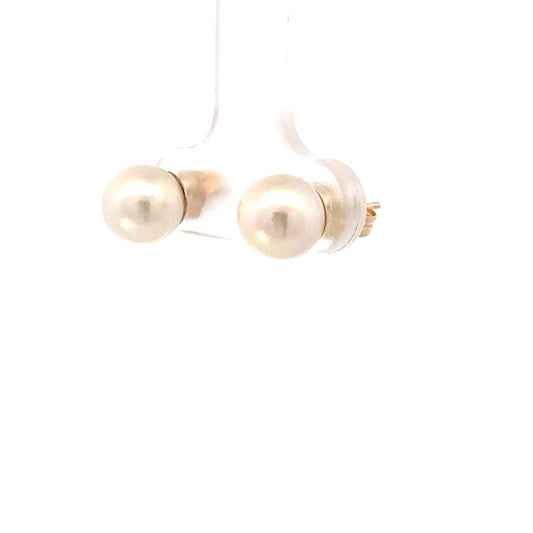 14K Yellow Gold Pearl Stud Earrings