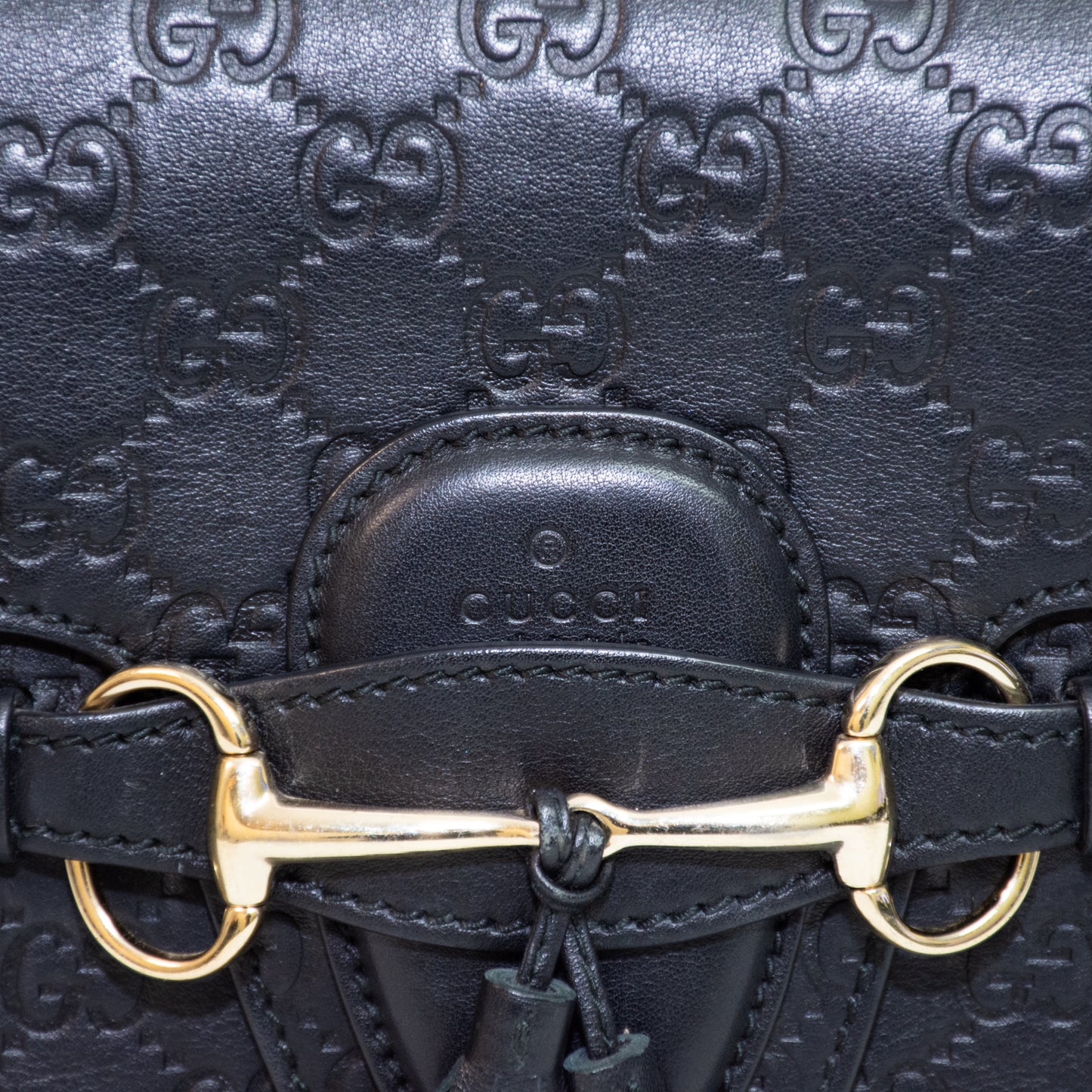 Gucci Emily Horsebit Guccissima Leather Chain Bag