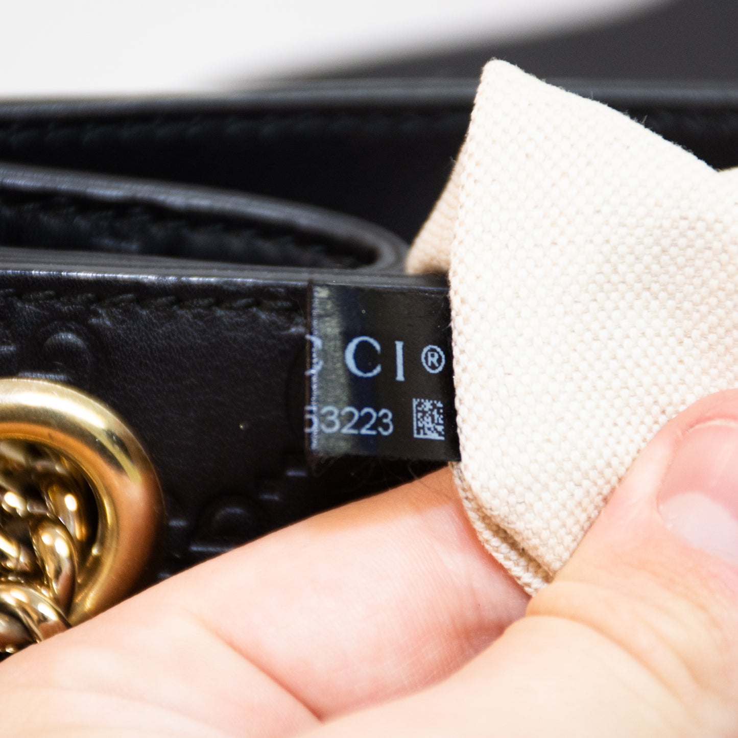 Gucci Emily Horsebit Guccissima Leather Chain Bag