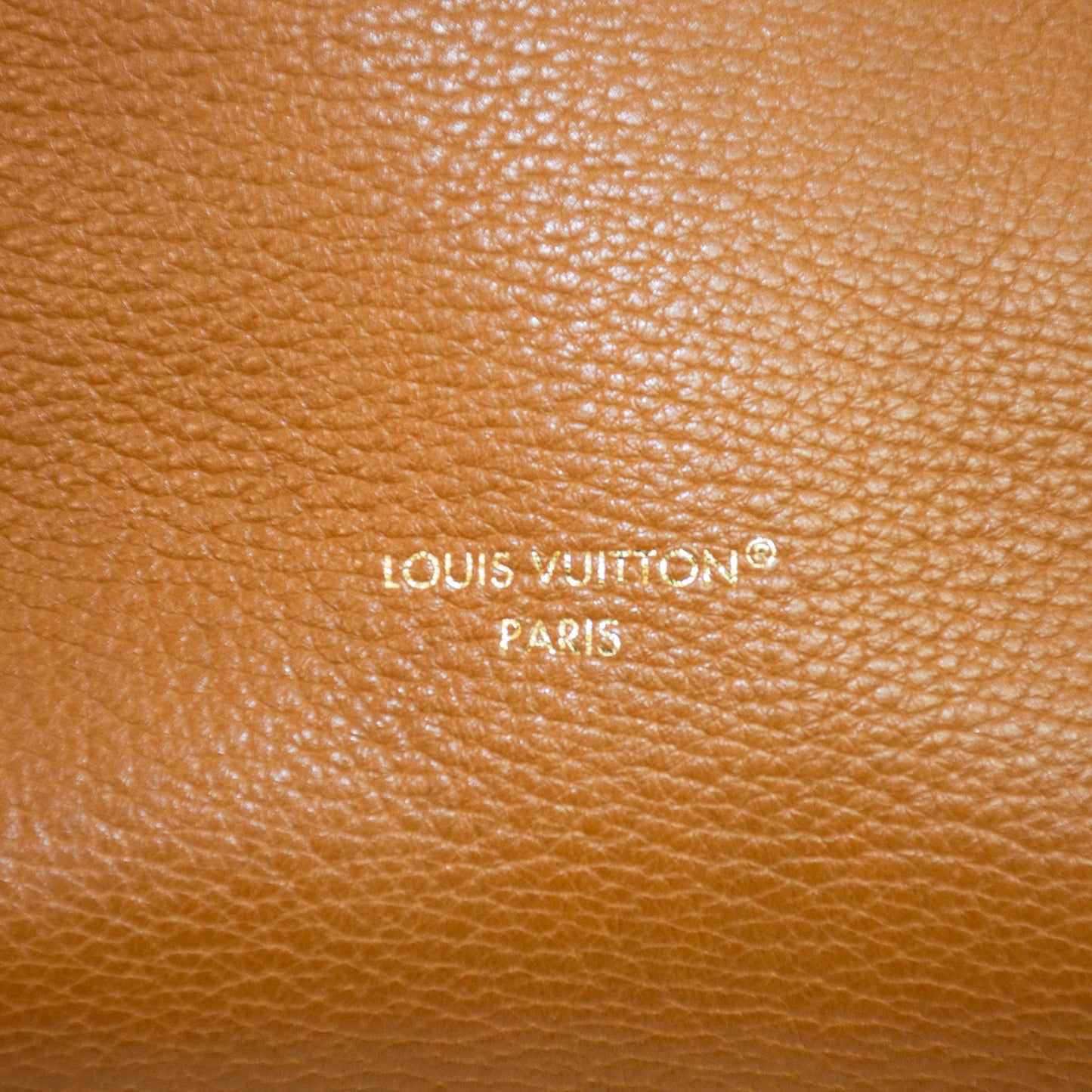 Louis Vuitton NOE Tan Trunk Handbag - M29131