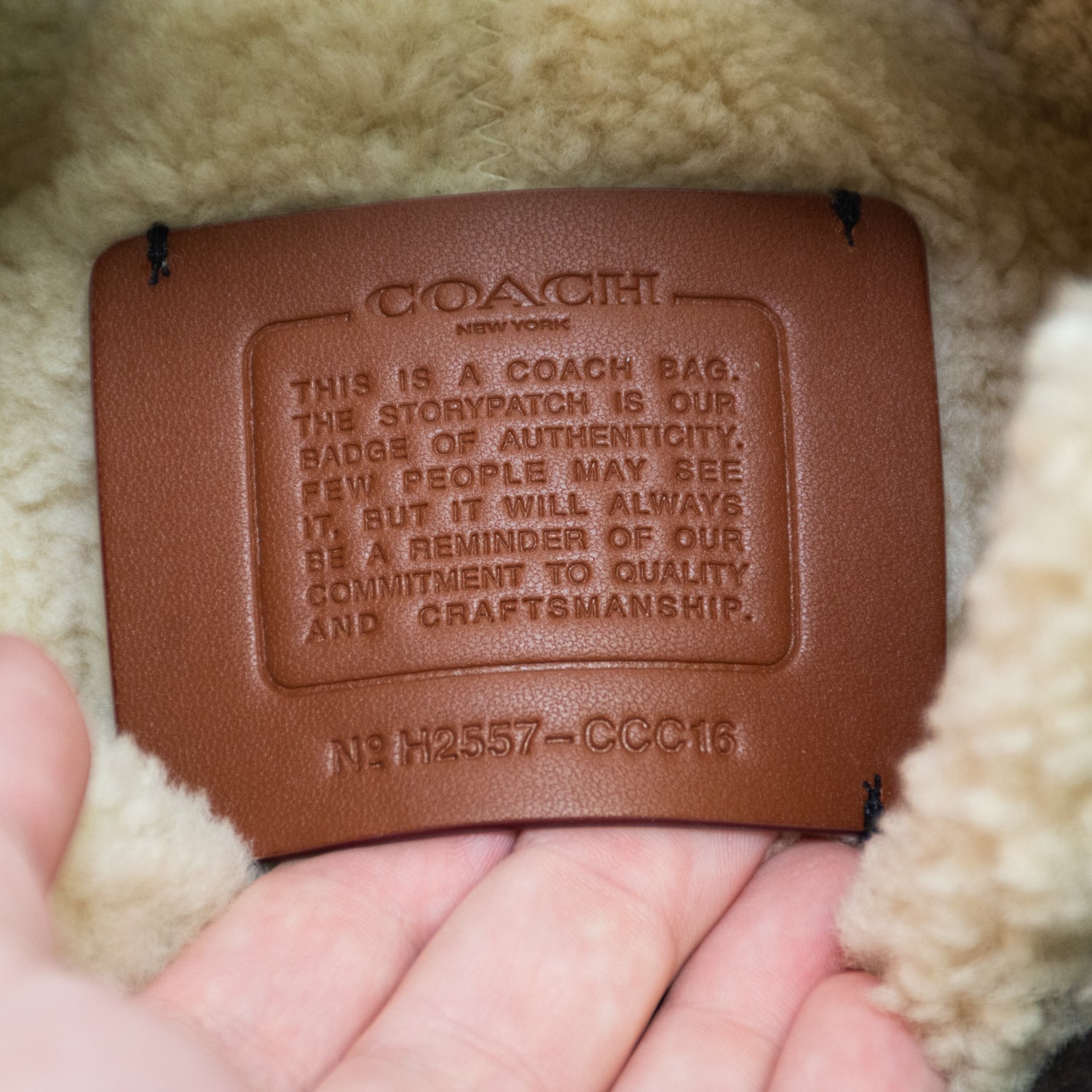 Coach CCC16 Brooklyn Shoulder Bag