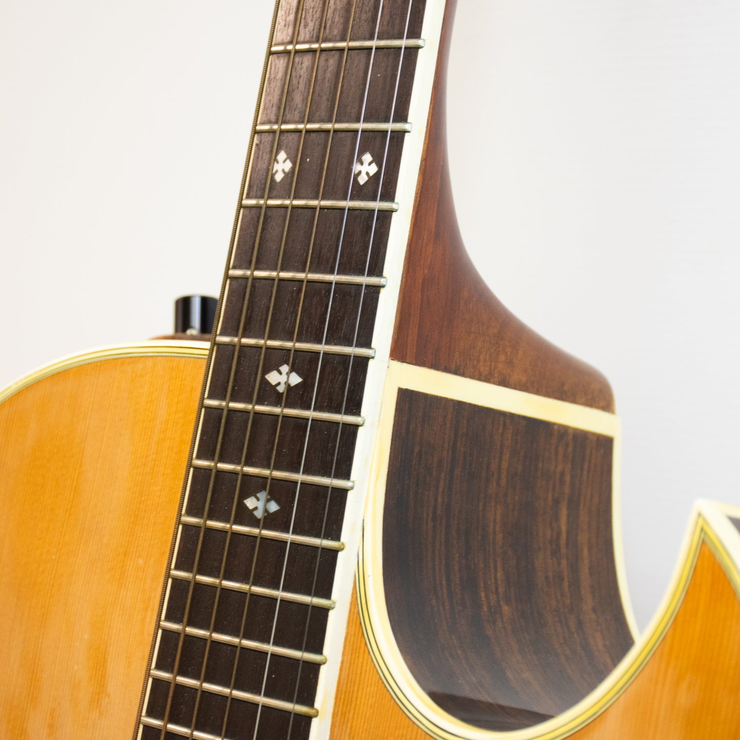 Washburn Tanglewood Natural Rose Wood Acoustic Guitar