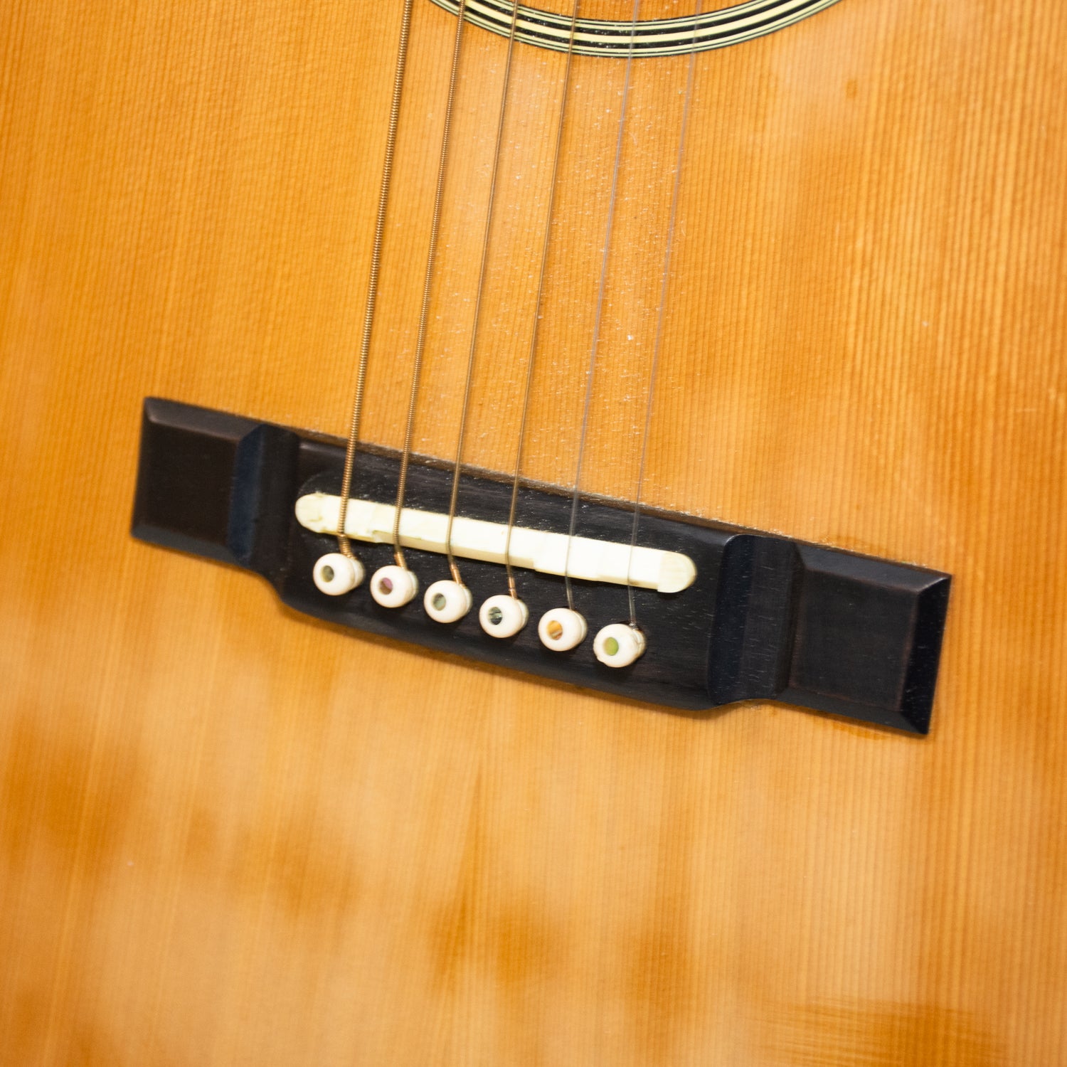 Washburn Tanglewood Natural Rose Wood Acoustic Guitar