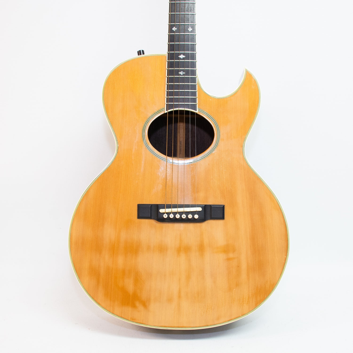 Washburn Tanglewood Natural Rose Wood Acoustic Guitar