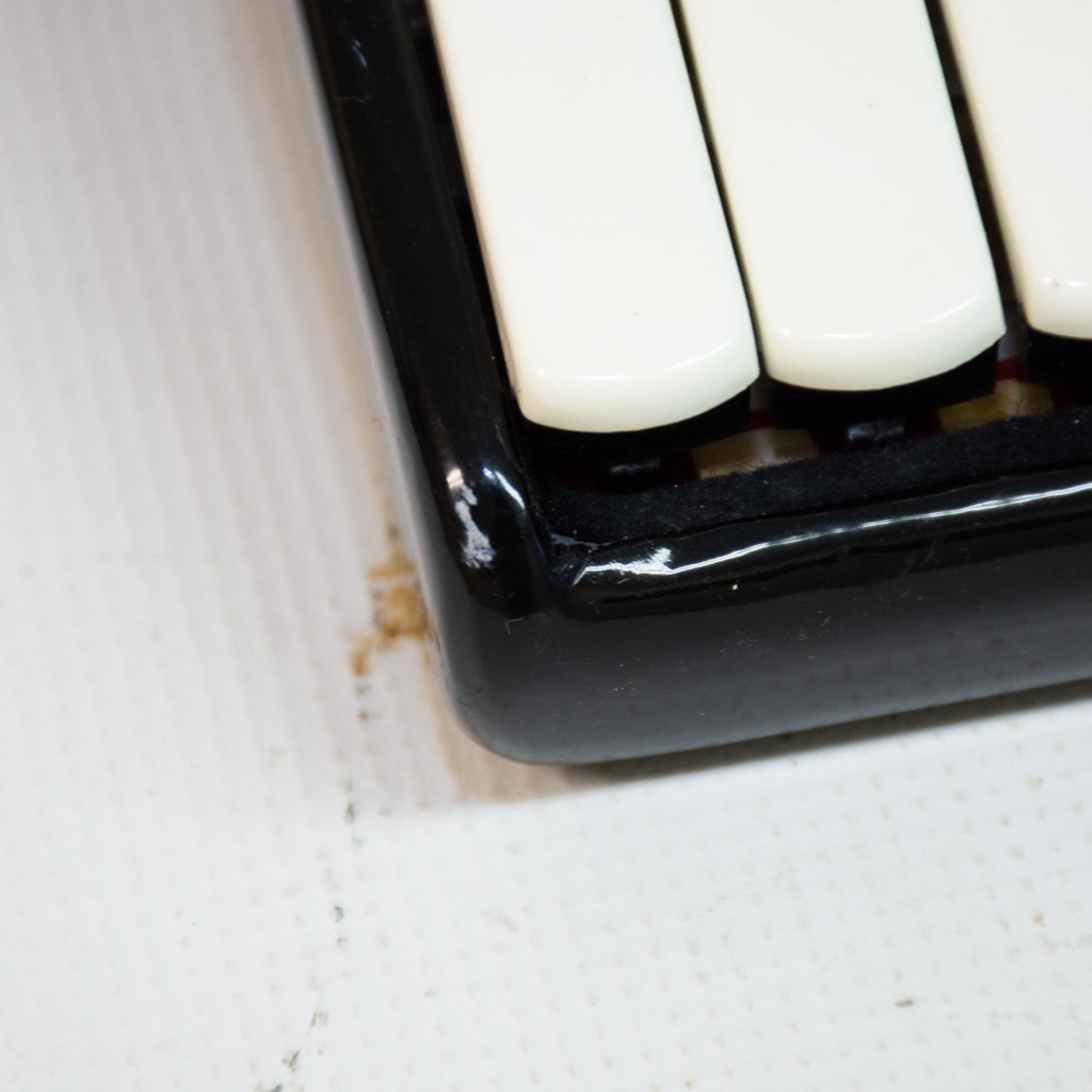 Royal Standard Silvana 2321 Accordion