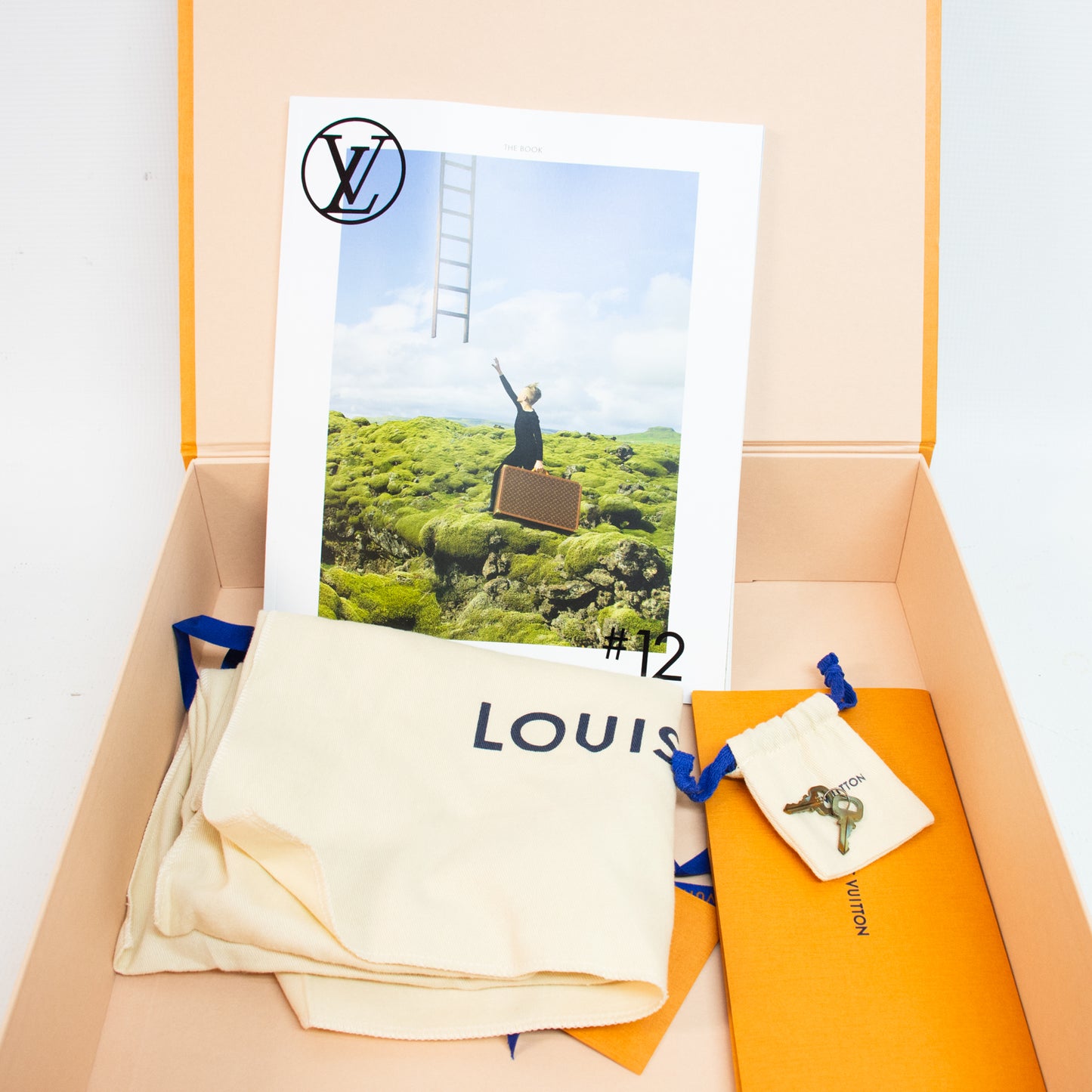 Louis Vuitton Speedy 30 Damier Ebene Handbag - N41364