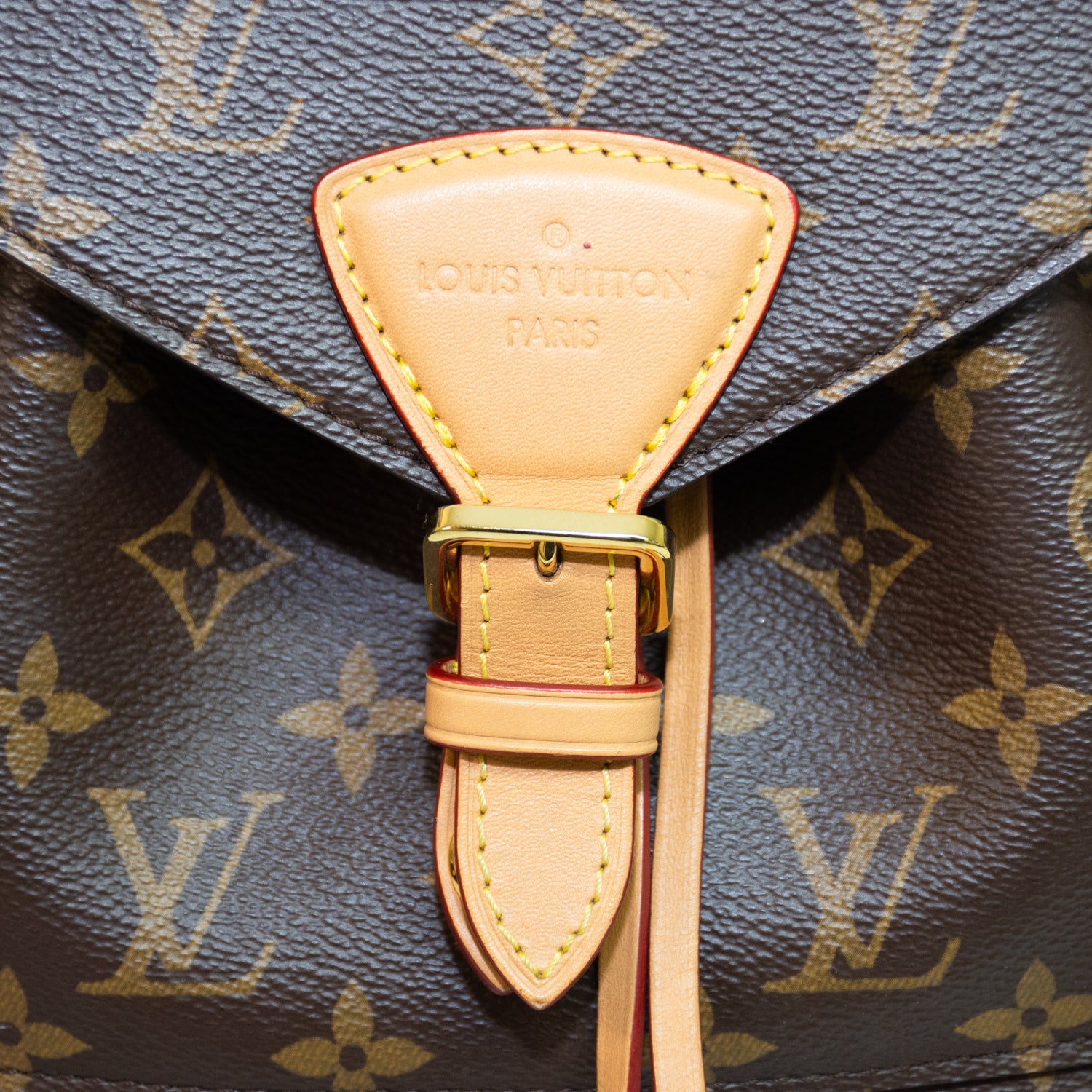 Louis Vuitton Montsouris PM Backpack - M45501