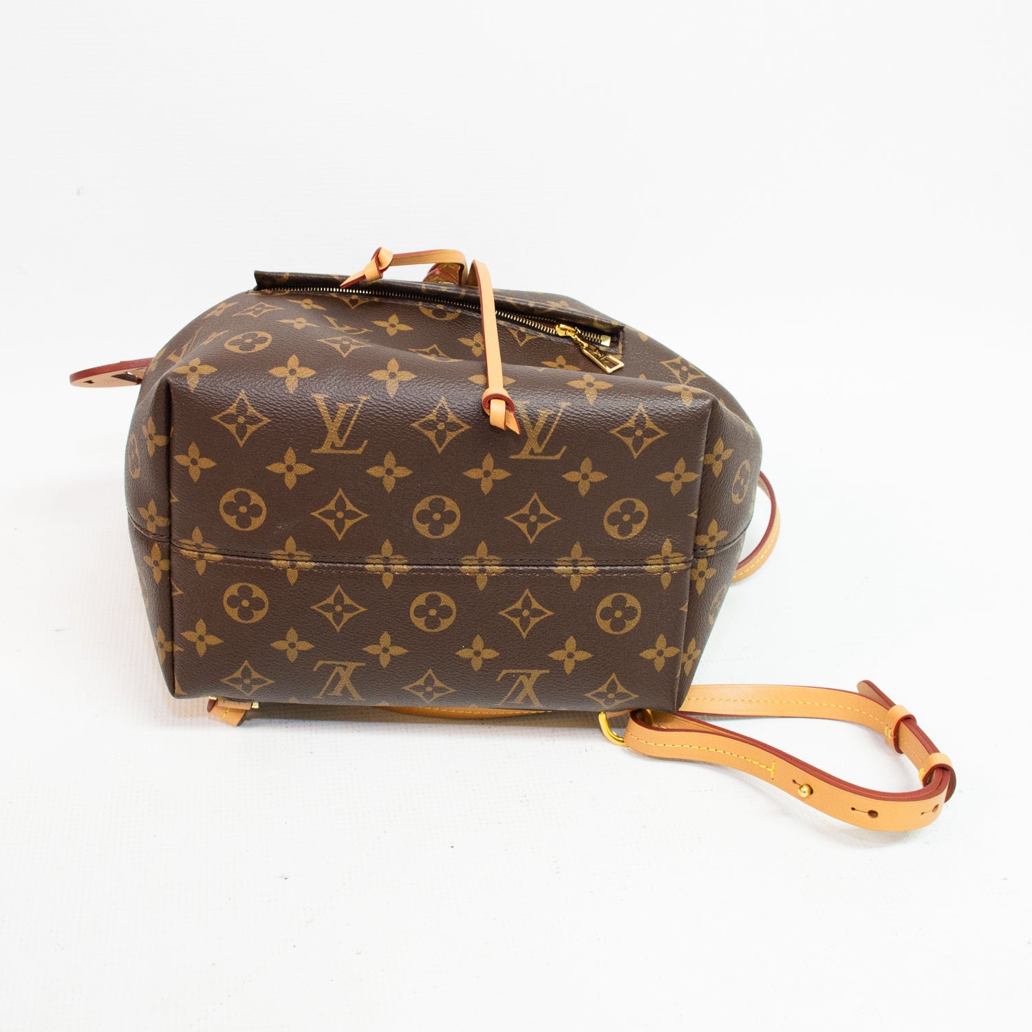 Louis Vuitton Montsouris PM Backpack - M45501