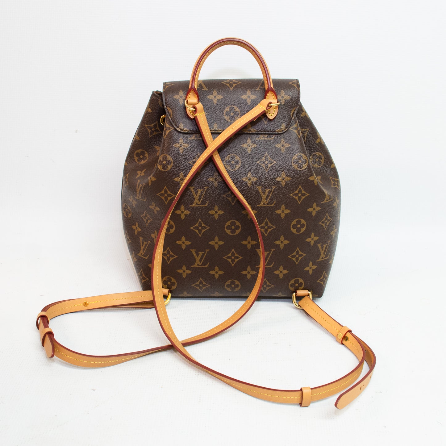 Louis Vuitton Montsouris PM Backpack - M45501