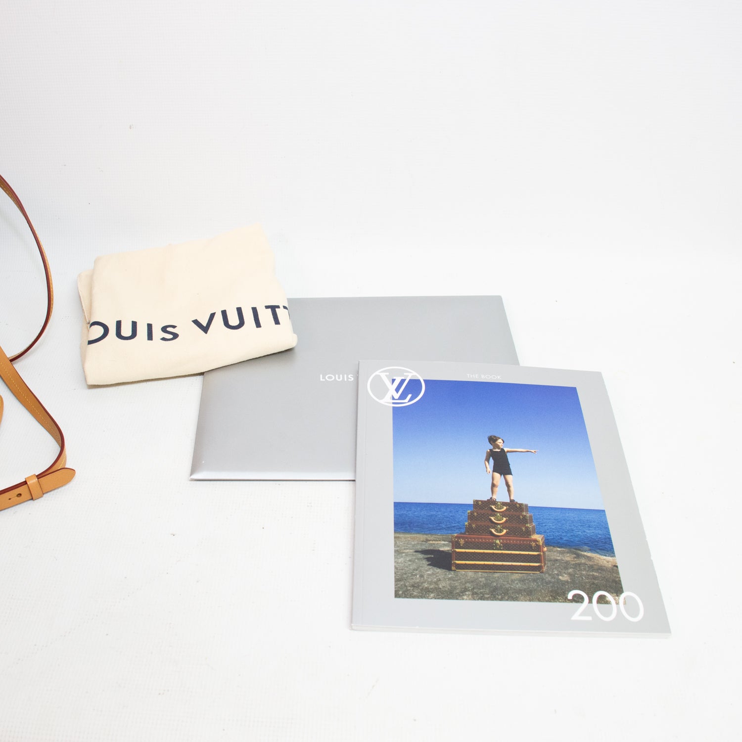 Louis Vuitton Montsouris PM Backpack - M45501