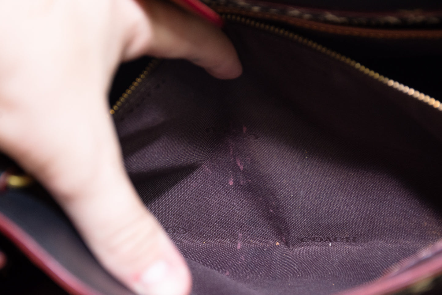 Coach 38845 Dreamer Signature Canvas Snakeskin Handbag