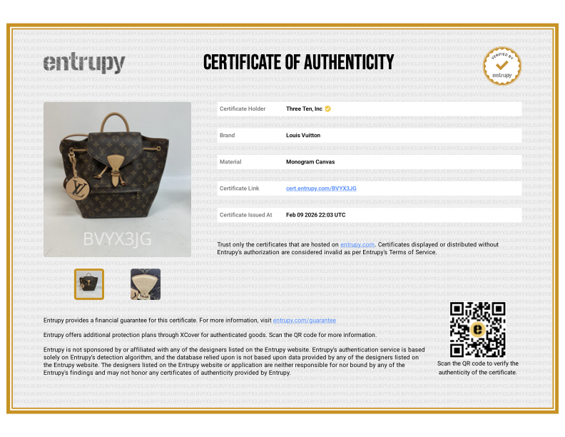 Louis Vuitton Montsouris PM Backpack - M45501