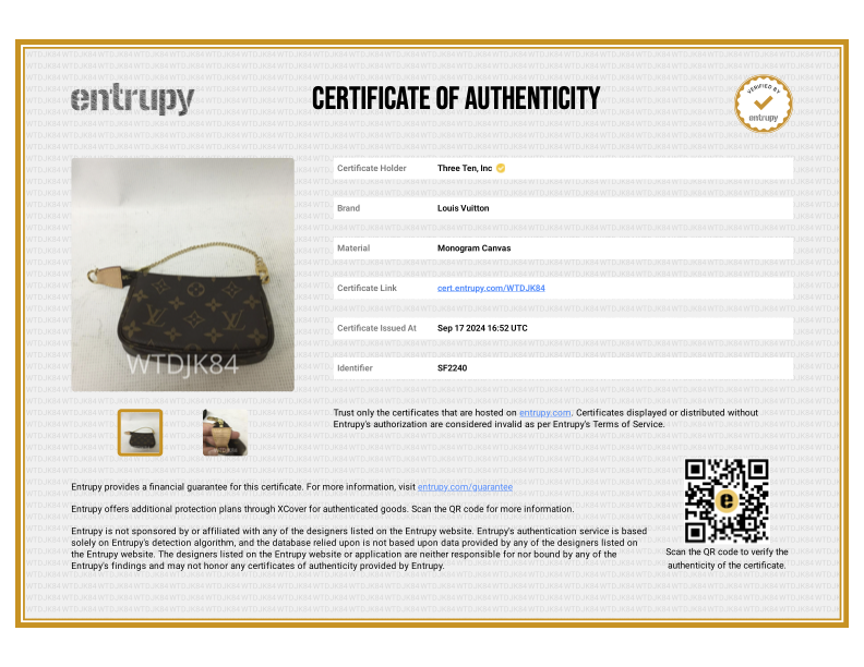 Louis Vuitton Mini Monogram Canvas Pochette