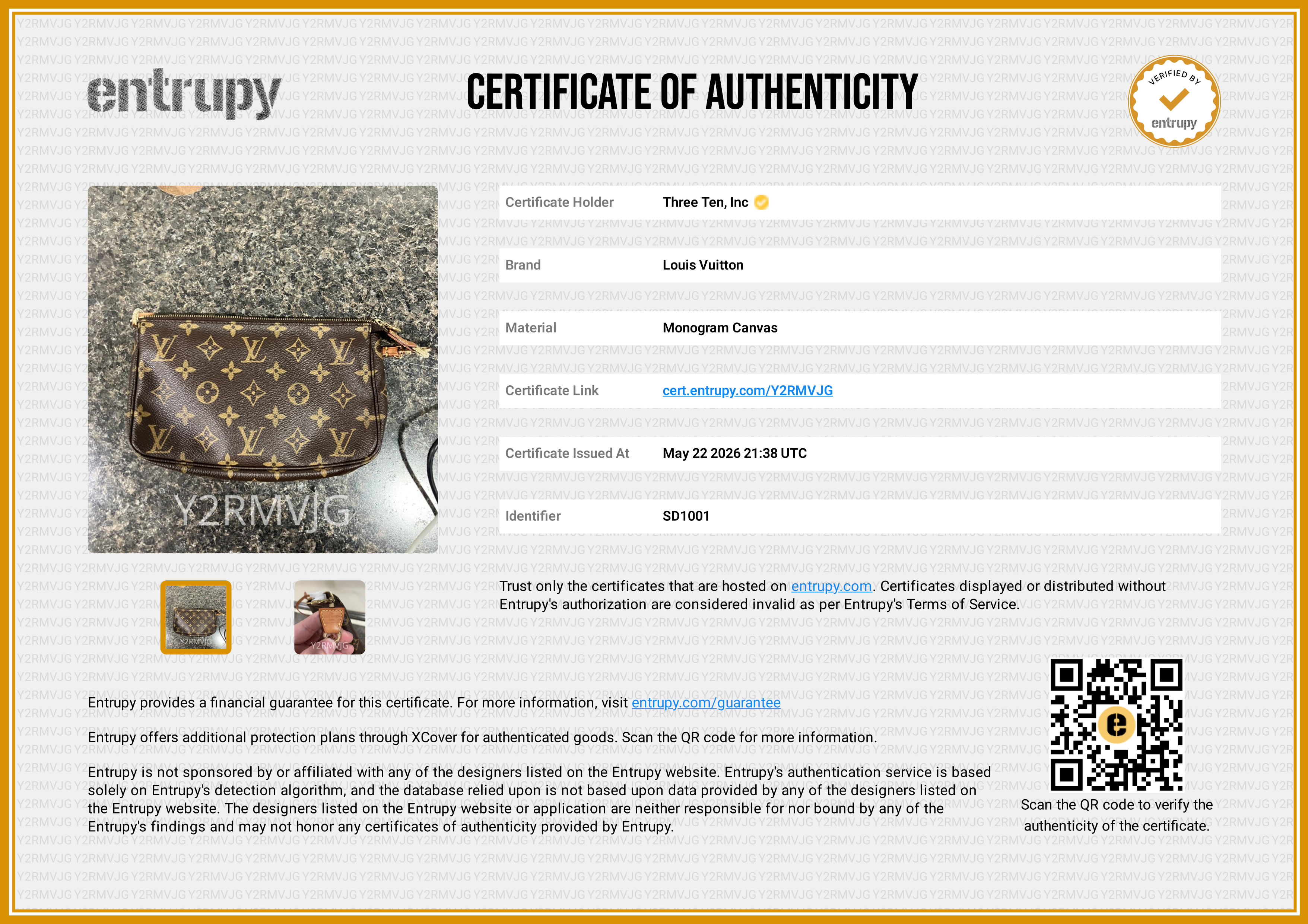 Louis Vuitton Accessory Pochette