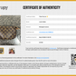 Louis Vuitton Accessory Pochette