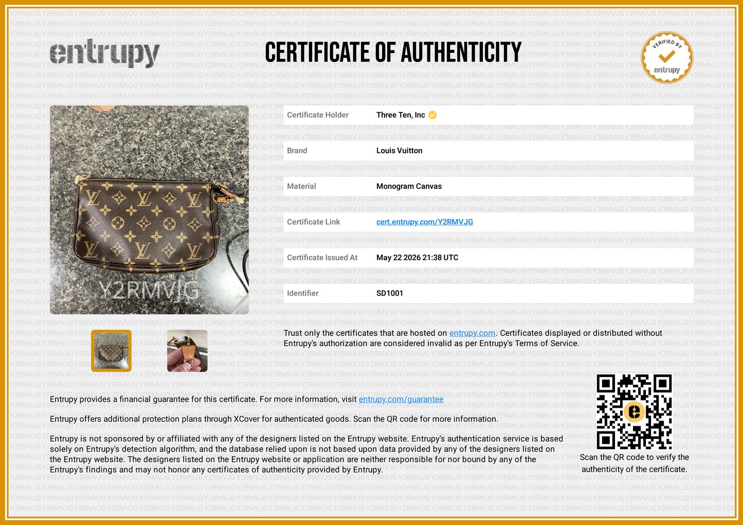 Louis Vuitton Accessory Pochette