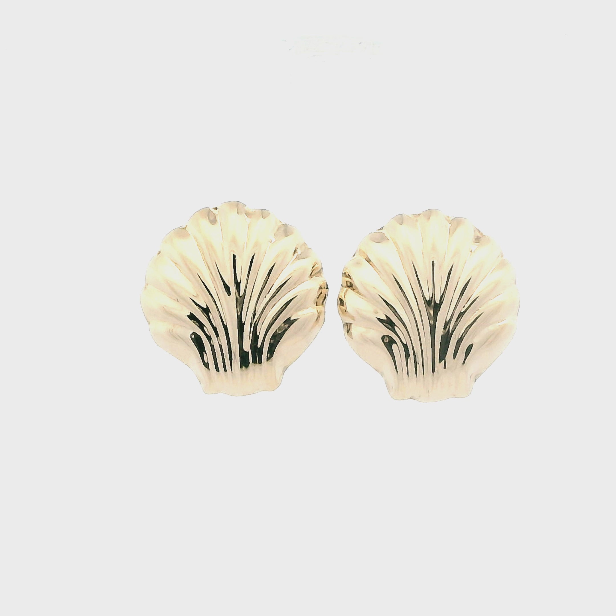 14K Yellow Gold Sea Shell Stud Earrings