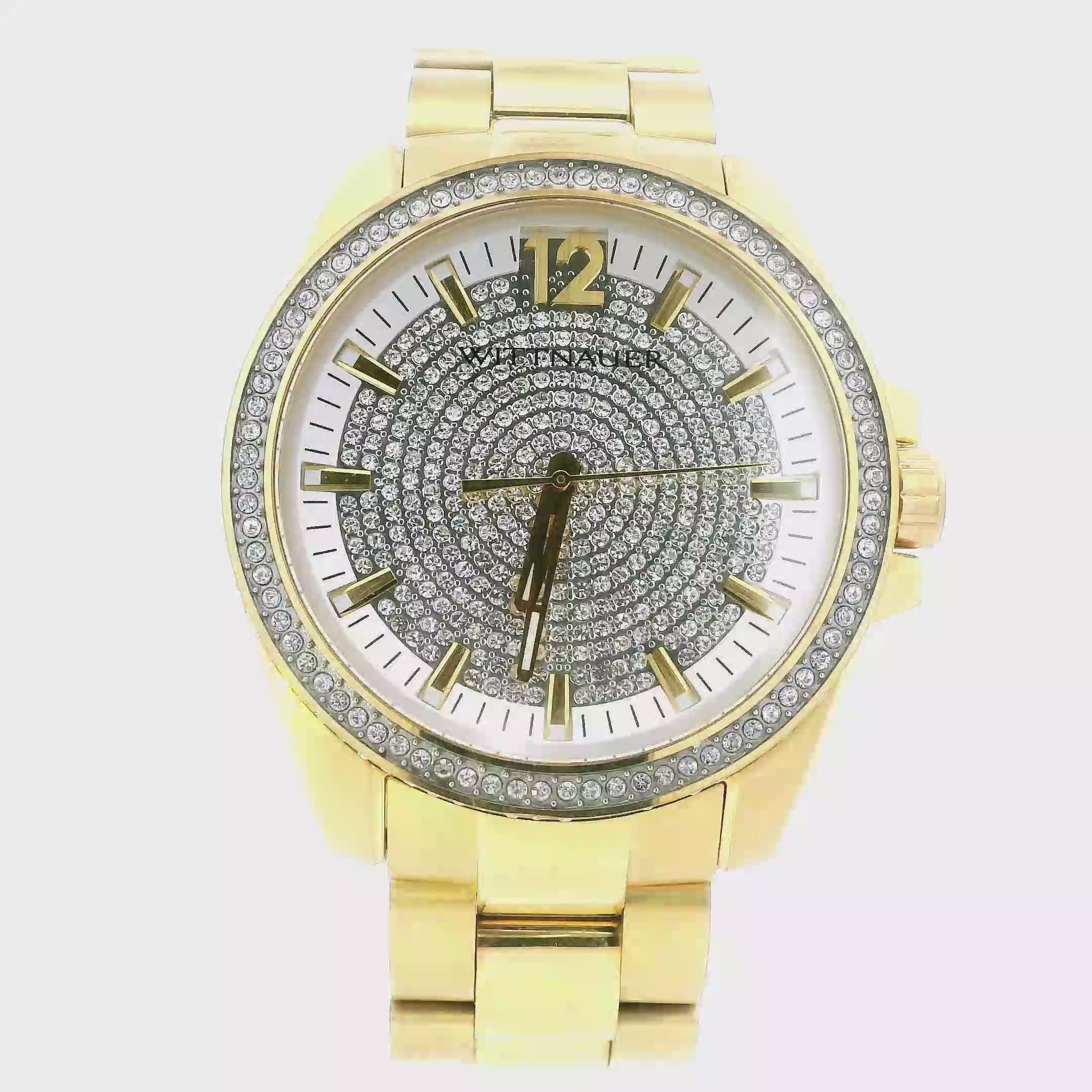 Wittnauer Stainless Steel Mens Wristwatch - WN3072