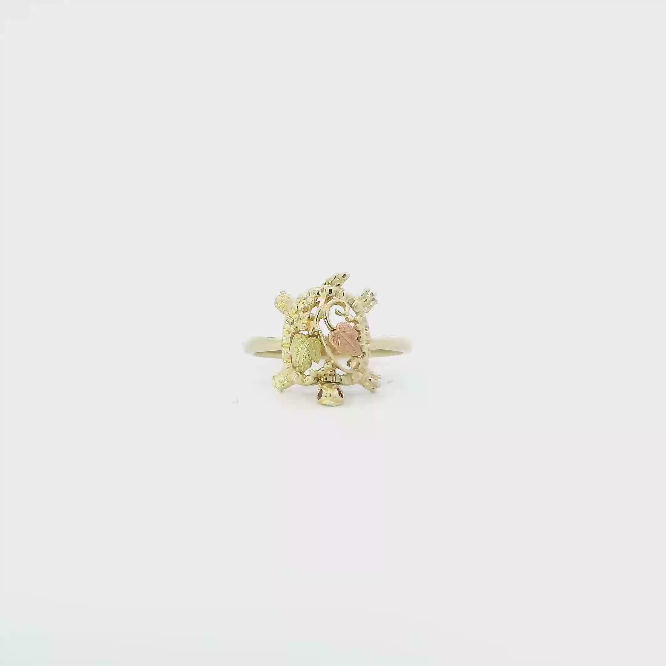 14K Tri Color Gold Ruby & Leaf Design Turtle Ring