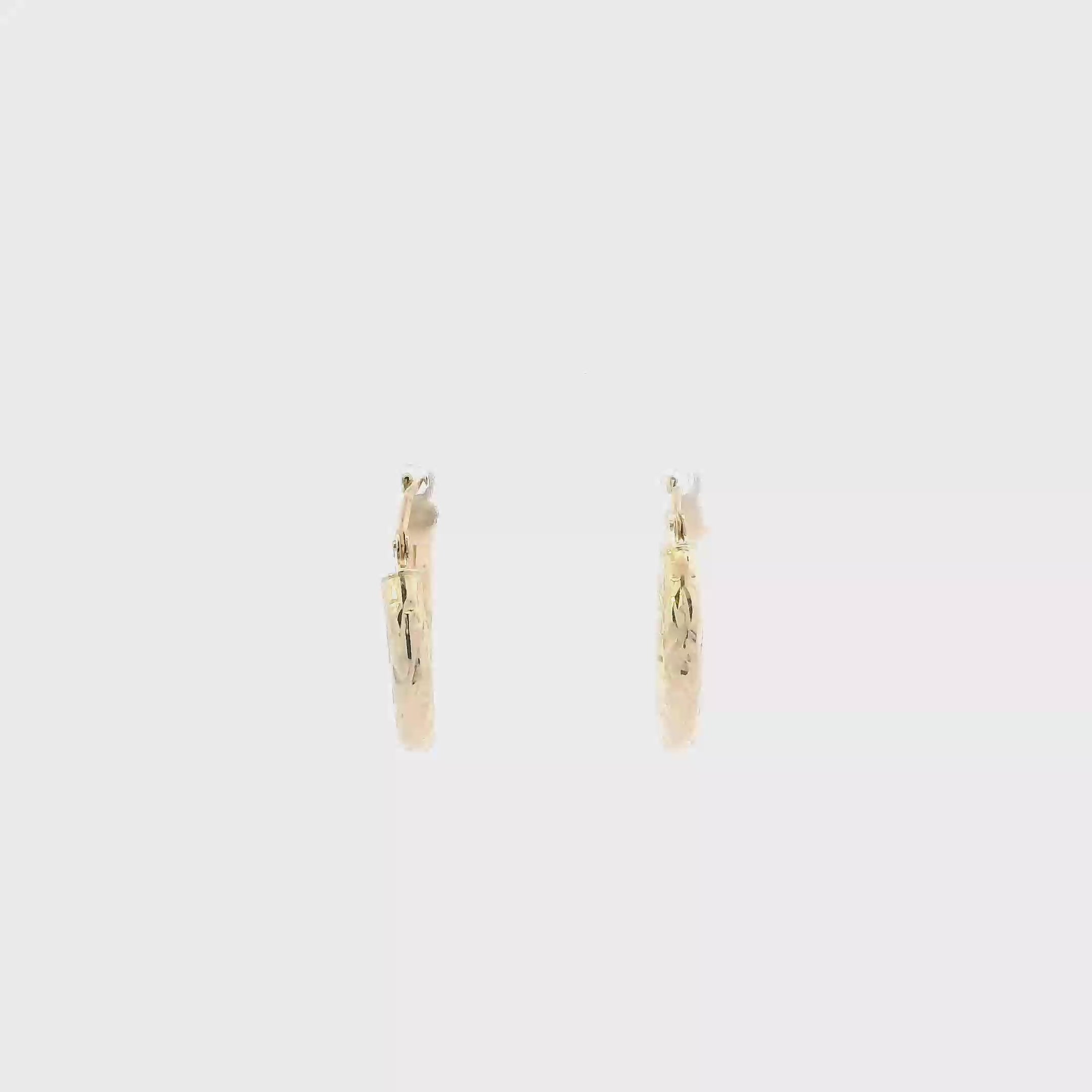 10K Yellow Gold Hoop Earrings