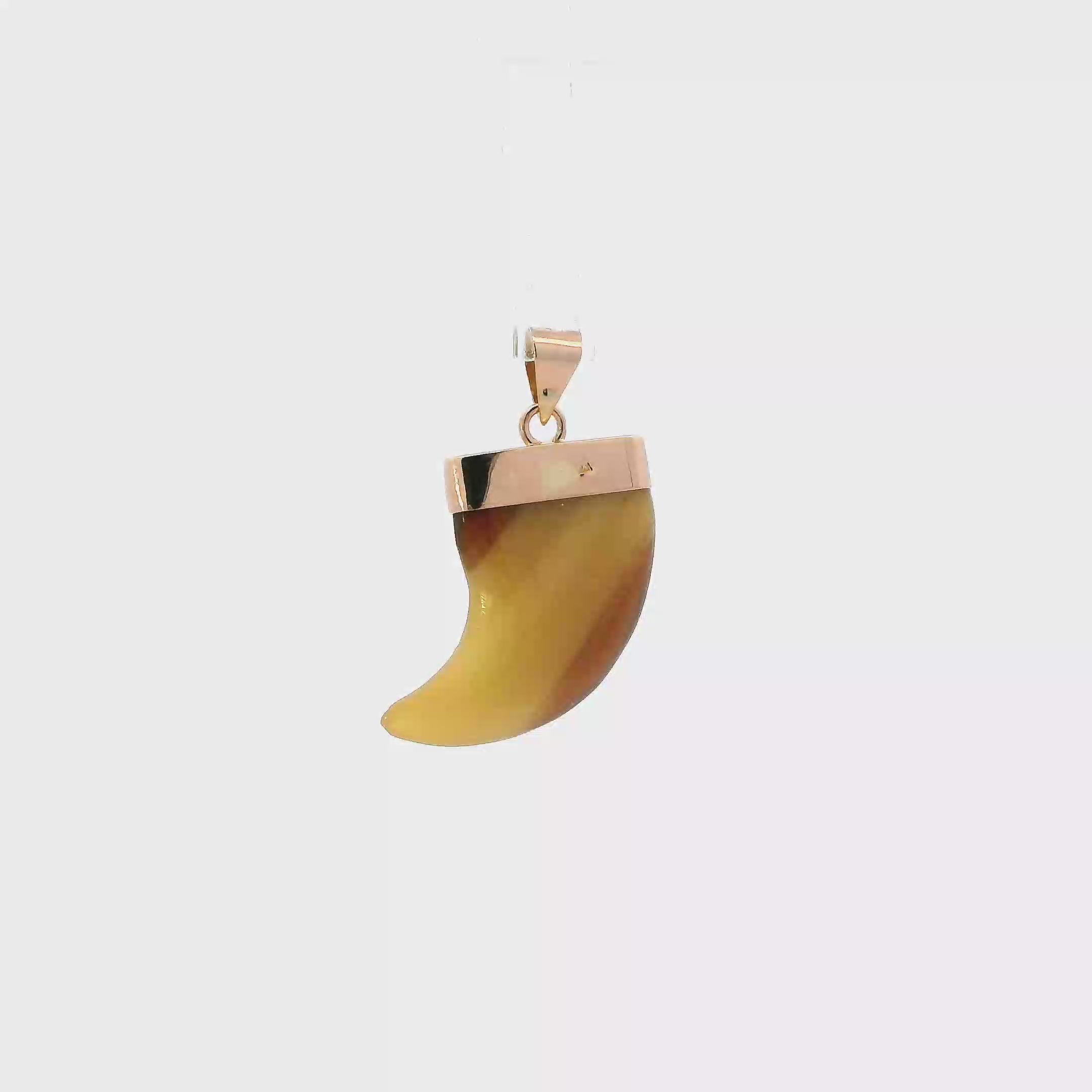 14K Yellow Gold Tiger Stone Claw Tooth Pendant